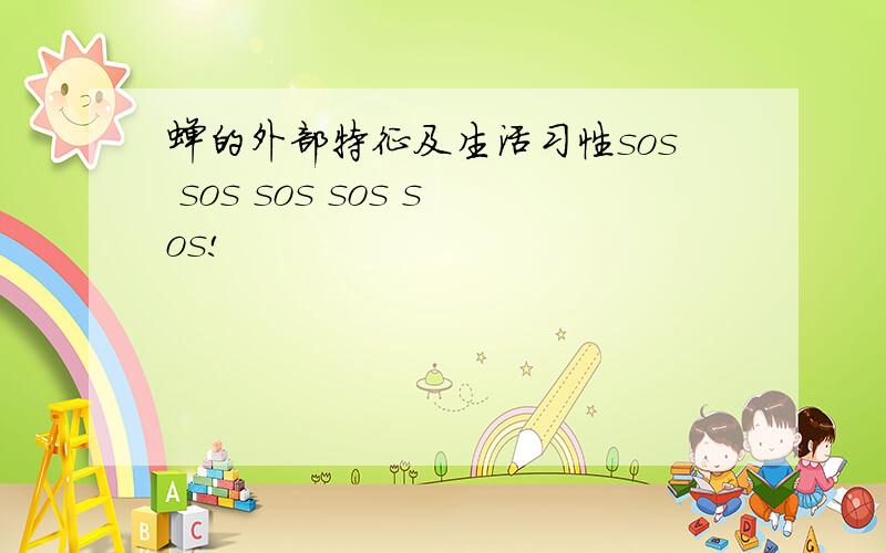 蝉的外部特征及生活习性sos sos sos sos sos!