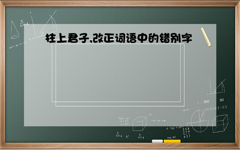 柱上君子,改正词语中的错别字