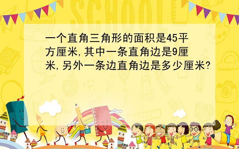 一个直角三角形的面积是45平方厘米,其中一条直角边是9厘米,另外一条边直角边是多少厘米?