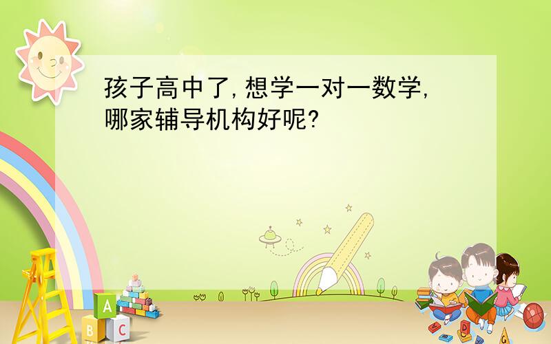 孩子高中了,想学一对一数学,哪家辅导机构好呢?