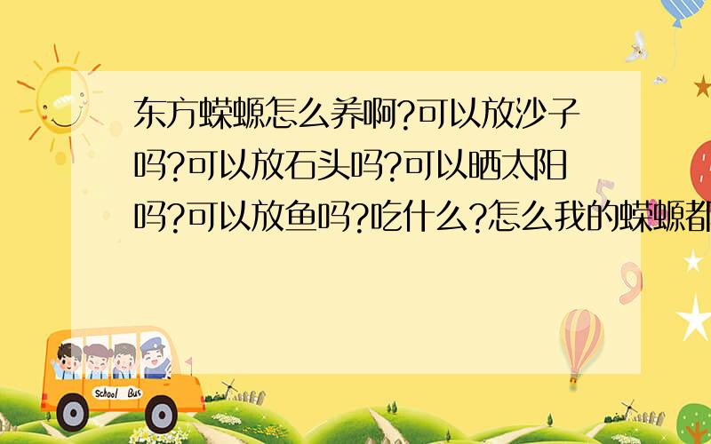 东方蝾螈怎么养啊?可以放沙子吗?可以放石头吗?可以晒太阳吗?可以放鱼吗?吃什么?怎么我的蝾螈都不动,好像死了一样?