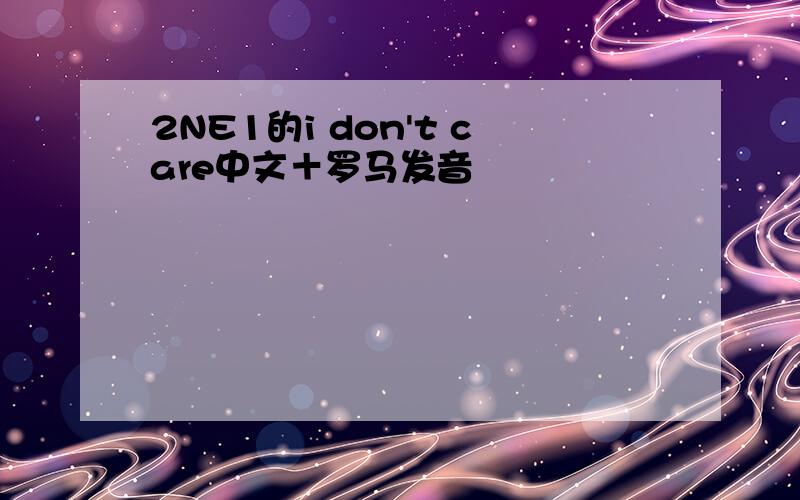 2NE1的i don't care中文＋罗马发音