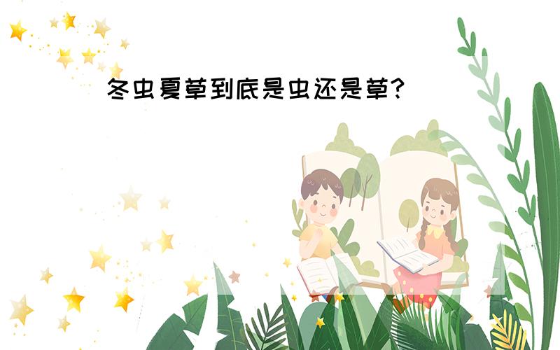 冬虫夏草到底是虫还是草?