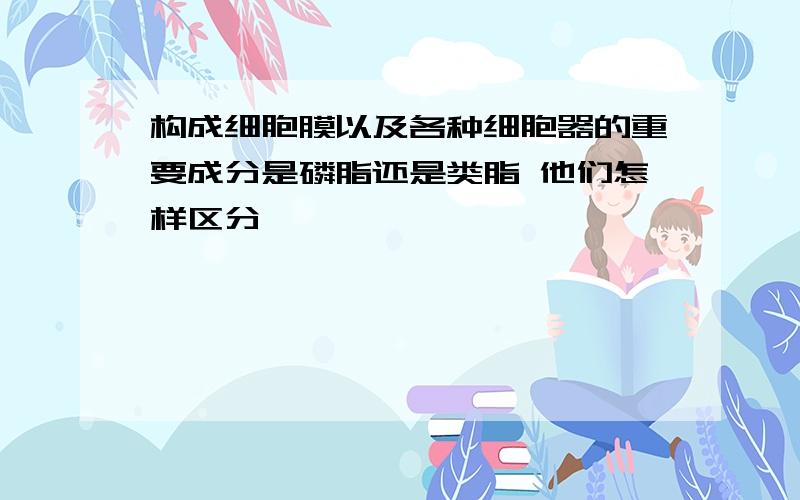 构成细胞膜以及各种细胞器的重要成分是磷脂还是类脂 他们怎样区分