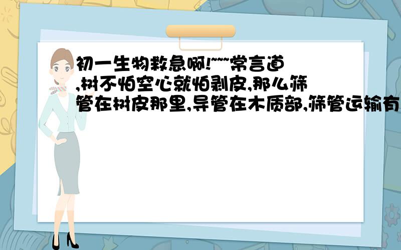 初一生物救急啊!~~~常言道,树不怕空心就怕剥皮,那么筛管在树皮那里,导管在木质部,筛管运输有机物,导管运输无机盐,植物需要的事水和无机盐,为什么没有导管就可以了呢?