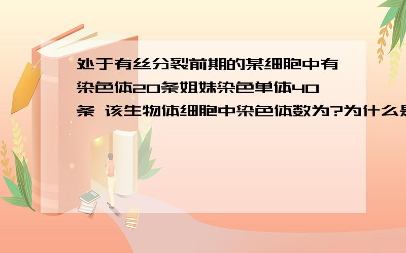 处于有丝分裂前期的某细胞中有染色体20条姐妹染色单体40条 该生物体细胞中染色体数为?为什么是40啊,体细胞染色体数和分裂时候的染色体数有什么关系啊?