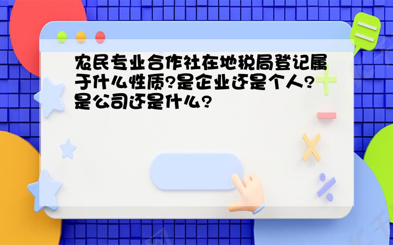 农民专业合作社在地税局登记属于什么性质?是企业还是个人?是公司还是什么?