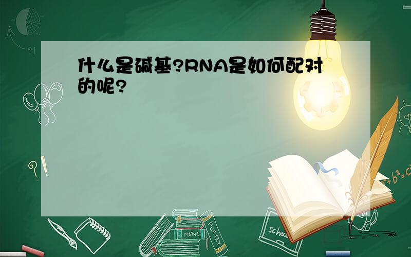 什么是碱基?RNA是如何配对的呢?