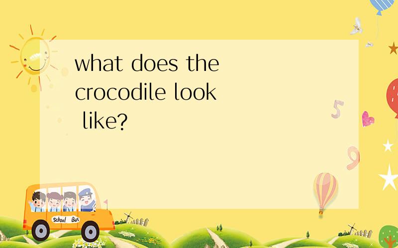 what does the crocodile look like?