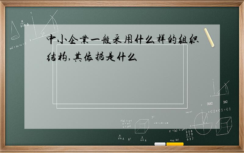 中小企业一般采用什么样的组织结构,其依据是什么