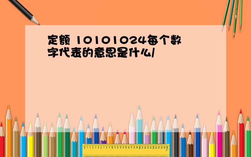 定额 10101024每个数字代表的意思是什么/