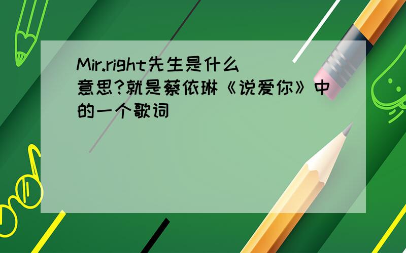 Mir.right先生是什么意思?就是蔡依琳《说爱你》中的一个歌词