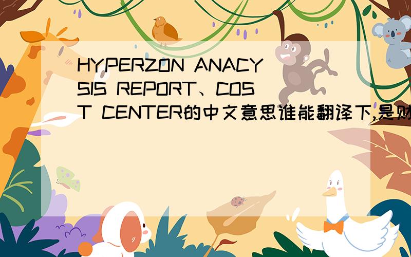 HYPERZON ANACYSIS REPORT、COST CENTER的中文意思谁能翻译下,是财务方面的