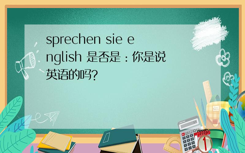 sprechen sie english 是否是：你是说英语的吗?