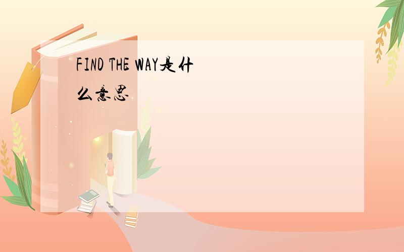 FIND THE WAY是什么意思