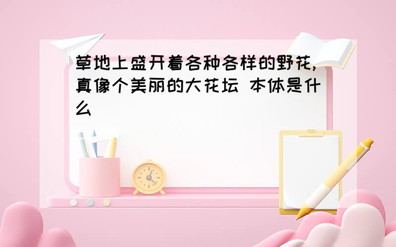 草地上盛开着各种各样的野花,真像个美丽的大花坛 本体是什么