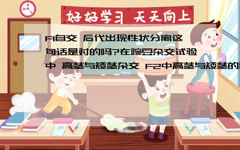 F1自交 后代出现性状分离这句话是对的吗?在豌豆杂交试验中 高茎与矮茎杂交 F2中高茎与矮茎的比787比277 上述实验结果的实质是A 高茎基因对矮茎基因是显性 B F1自交 后代出现性状分离 C 控