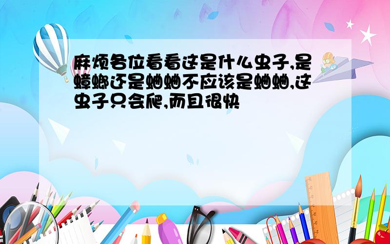 麻烦各位看看这是什么虫子,是蟑螂还是蛐蛐不应该是蛐蛐,这虫子只会爬,而且很快