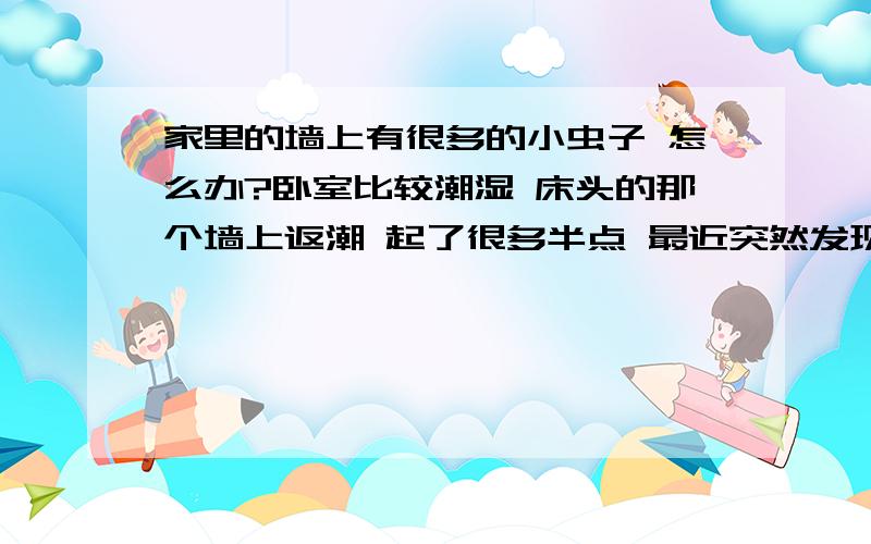 家里的墙上有很多的小虫子 怎么办?卧室比较潮湿 床头的那个墙上返潮 起了很多半点 最近突然发现上面有很多小虫子 不大 3MM的样子 黑色的 一碰就跑 一按就死 留下一道黑杠 请问这是什么