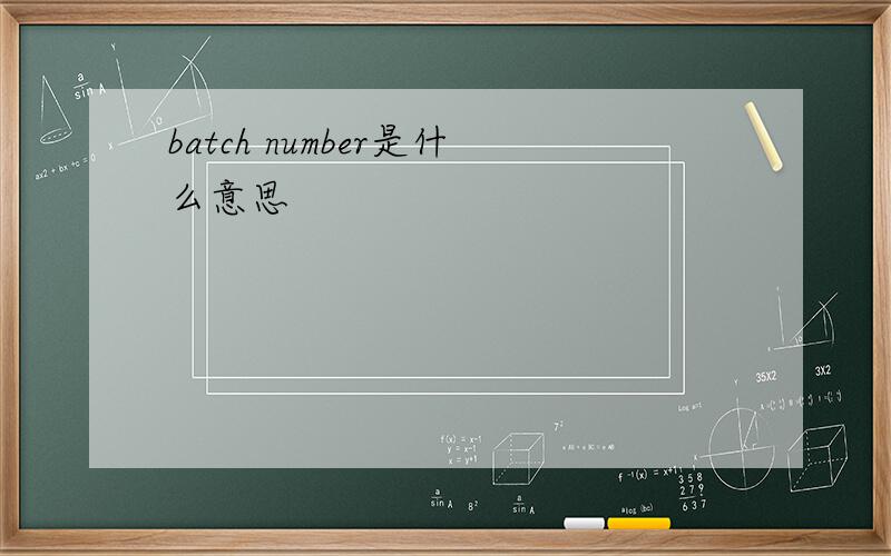 batch number是什么意思