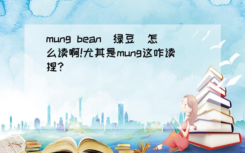 mung bean(绿豆)怎么读啊!尤其是mung这咋读捏?