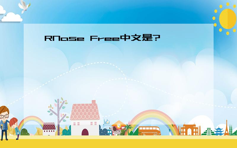 RNase Free中文是?