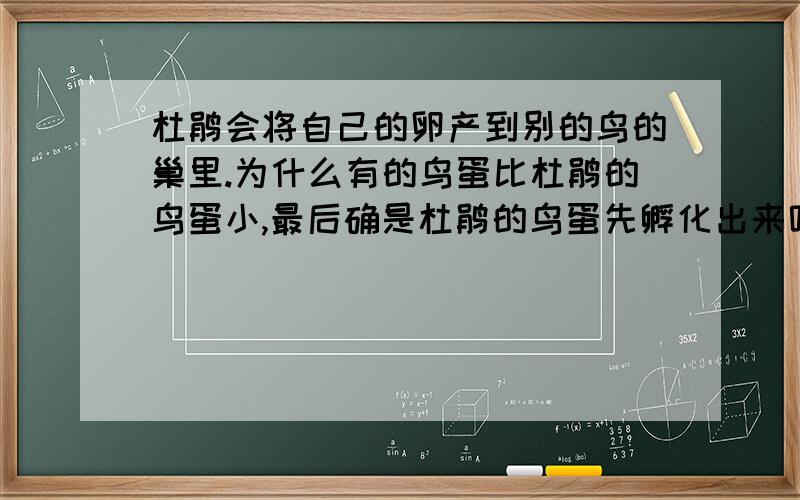 杜鹃会将自己的卵产到别的鸟的巢里.为什么有的鸟蛋比杜鹃的鸟蛋小,最后确是杜鹃的鸟蛋先孵化出来呢?要更准确 更细致的更具体的原因 不要梗概 好的