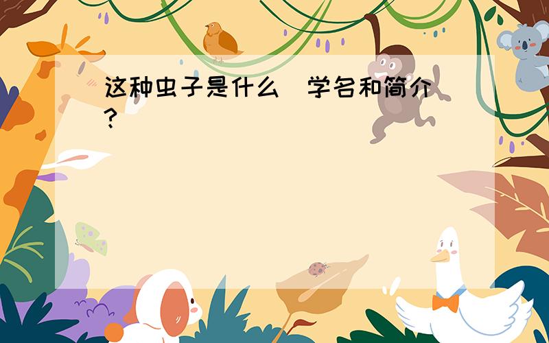 这种虫子是什么（学名和简介）?