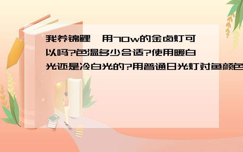 我养锦鲤,用70w的金卤灯可以吗?色温多少合适?使用暖白光还是冷白光的?用普通日光灯对鱼颜色有作用吗?如果70w的可以色温多少合适?使用暖白光还是冷白光的?或是其他什么光?用普通日光灯