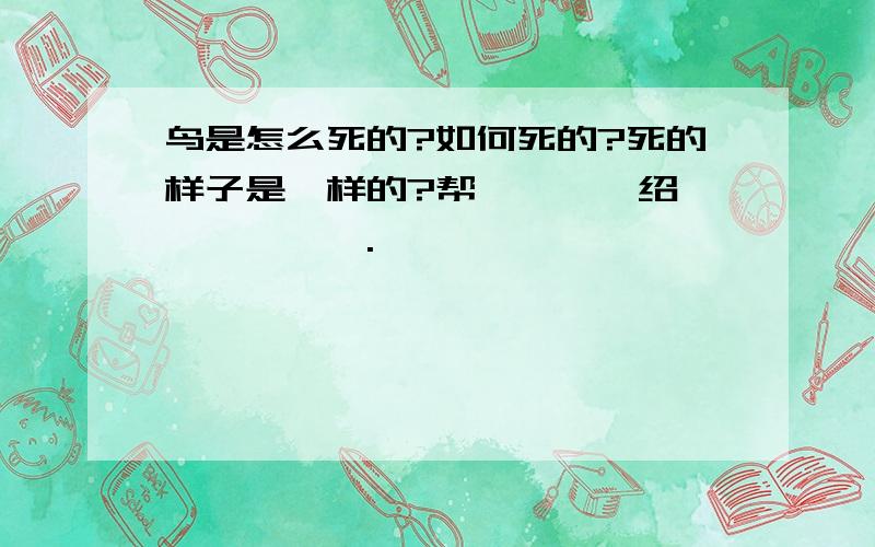 鸟是怎么死的?如何死的?死的样子是咋样的?帮莴孑逖,绍鸔屪児惪恏亍.