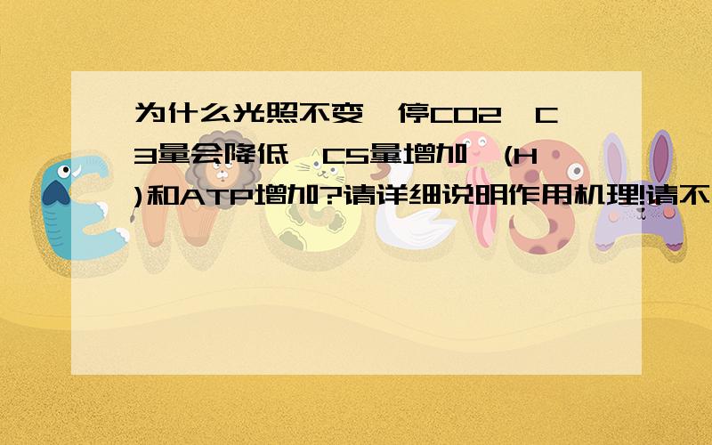 为什么光照不变,停CO2,C3量会降低,C5量增加,(H)和ATP增加?请详细说明作用机理!请不要不懂装懂.没文化装专家会被人家笑会不会知道?