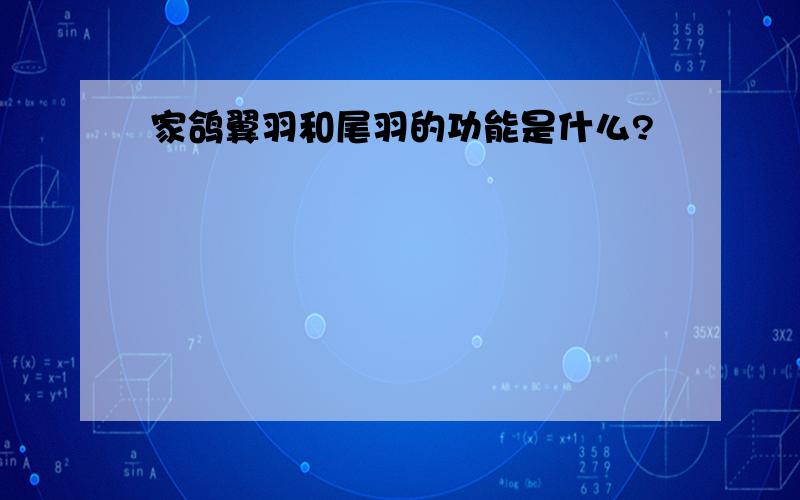 家鸽翼羽和尾羽的功能是什么?