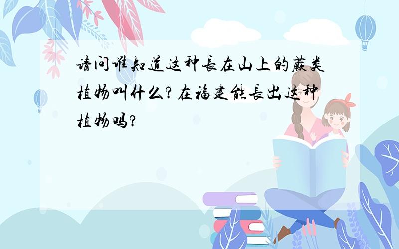 请问谁知道这种长在山上的蕨类植物叫什么?在福建能长出这种植物吗?