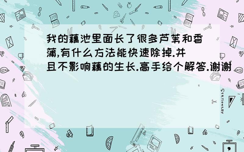 我的藕池里面长了很多芦苇和香蒲,有什么方法能快速除掉.并且不影响藕的生长.高手给个解答.谢谢