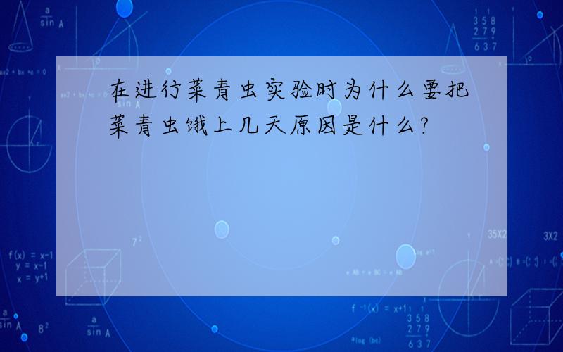 在进行菜青虫实验时为什么要把菜青虫饿上几天原因是什么?