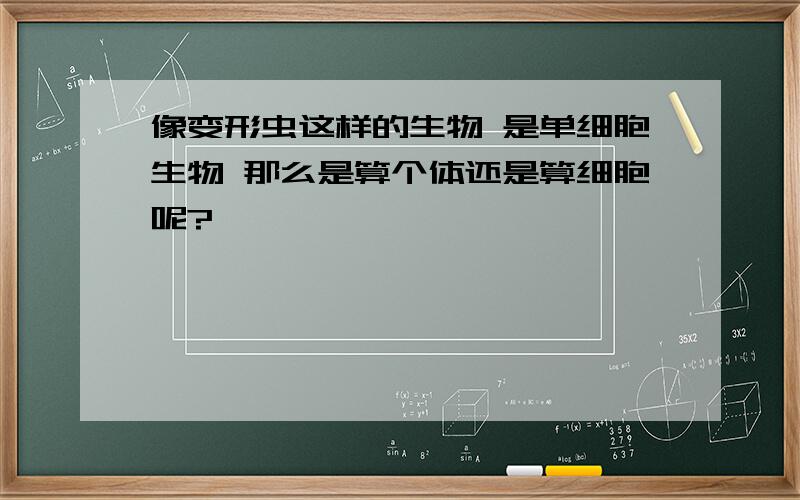 像变形虫这样的生物 是单细胞生物 那么是算个体还是算细胞呢?