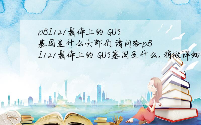 pBI121载体上的 GUS基因是什么大虾们.请问哈pBI121载体上的 GUS基因是什么,稍微详细一点点哈,.有什么现实的意义。