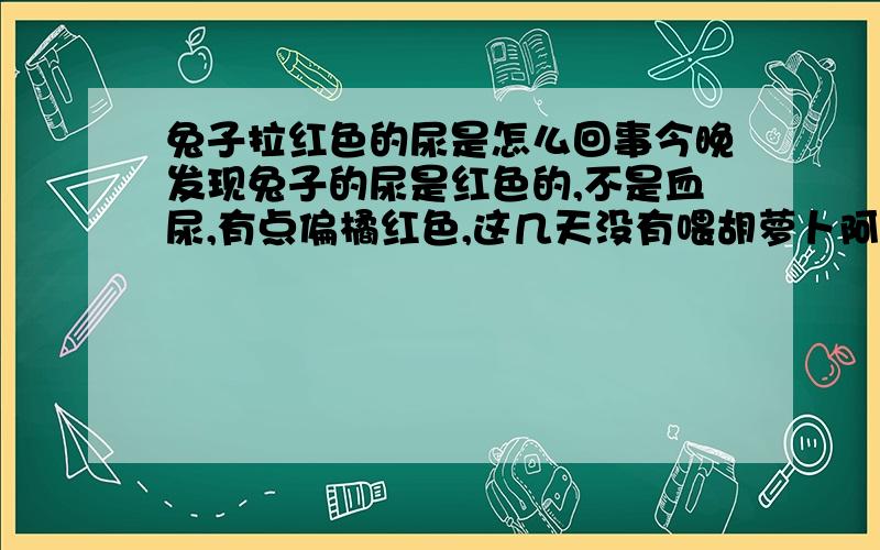 兔子拉红色的尿是怎么回事今晚发现兔子的尿是红色的,不是血尿,有点偏橘红色,这几天没有喂胡萝卜阿,它这两天吃的蔬菜偏多,因为天气热,干的兔梁和干草它吃得少,吃了很多蔬菜.要怎么办