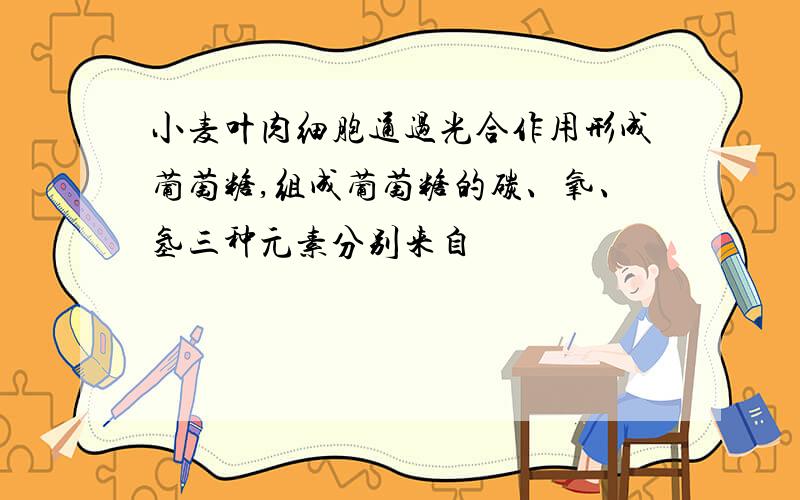 小麦叶肉细胞通过光合作用形成葡萄糖,组成葡萄糖的碳、氧、氢三种元素分别来自