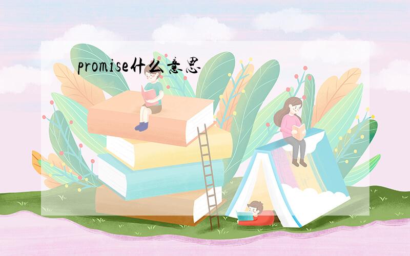 promise什么意思