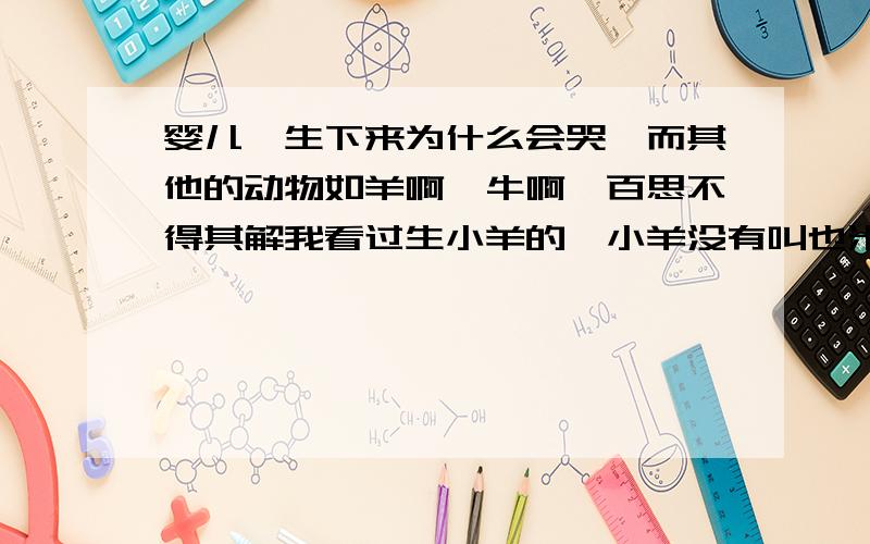 婴儿一生下来为什么会哭,而其他的动物如羊啊,牛啊,百思不得其解我看过生小羊的,小羊没有叫也米有哭,反而老羊在咩咩叫,呵呵