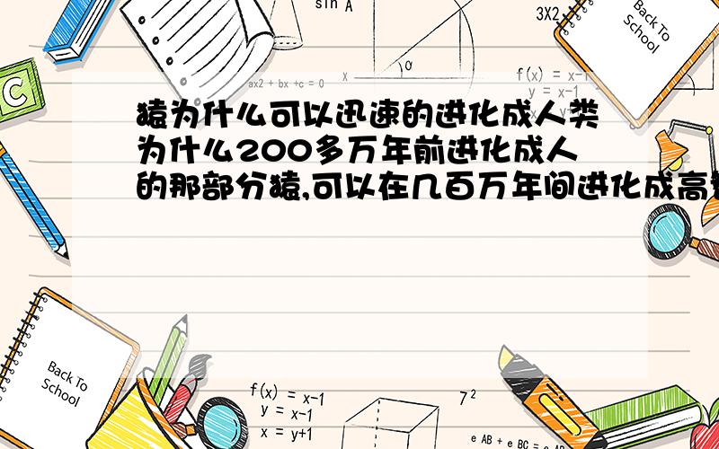 猿为什么可以迅速的进化成人类为什么200多万年前进化成人的那部分猿,可以在几百万年间进化成高智慧的现在人类?而现在的其他猿类,以及猴子和一些其他生物它们出现的年代应该和进化成