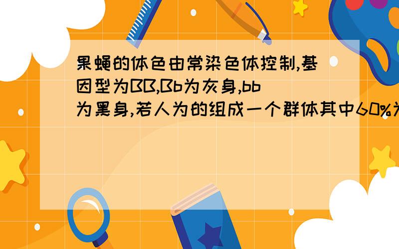 果蝇的体色由常染色体控制,基因型为BB,Bb为灰身,bb为黑身,若人为的组成一个群体其中60%为BB个体,40%为bb个体,群体内果蝇随机交配,其子代Bb的比例是要原因