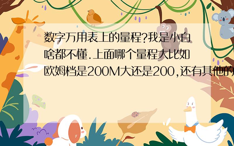 数字万用表上的量程?我是小白啥都不懂.上面哪个量程大比如欧姆档是200M大还是200,还有其他的.交流直流电如何看,数字万用表如何使用.我用的是UT39A.